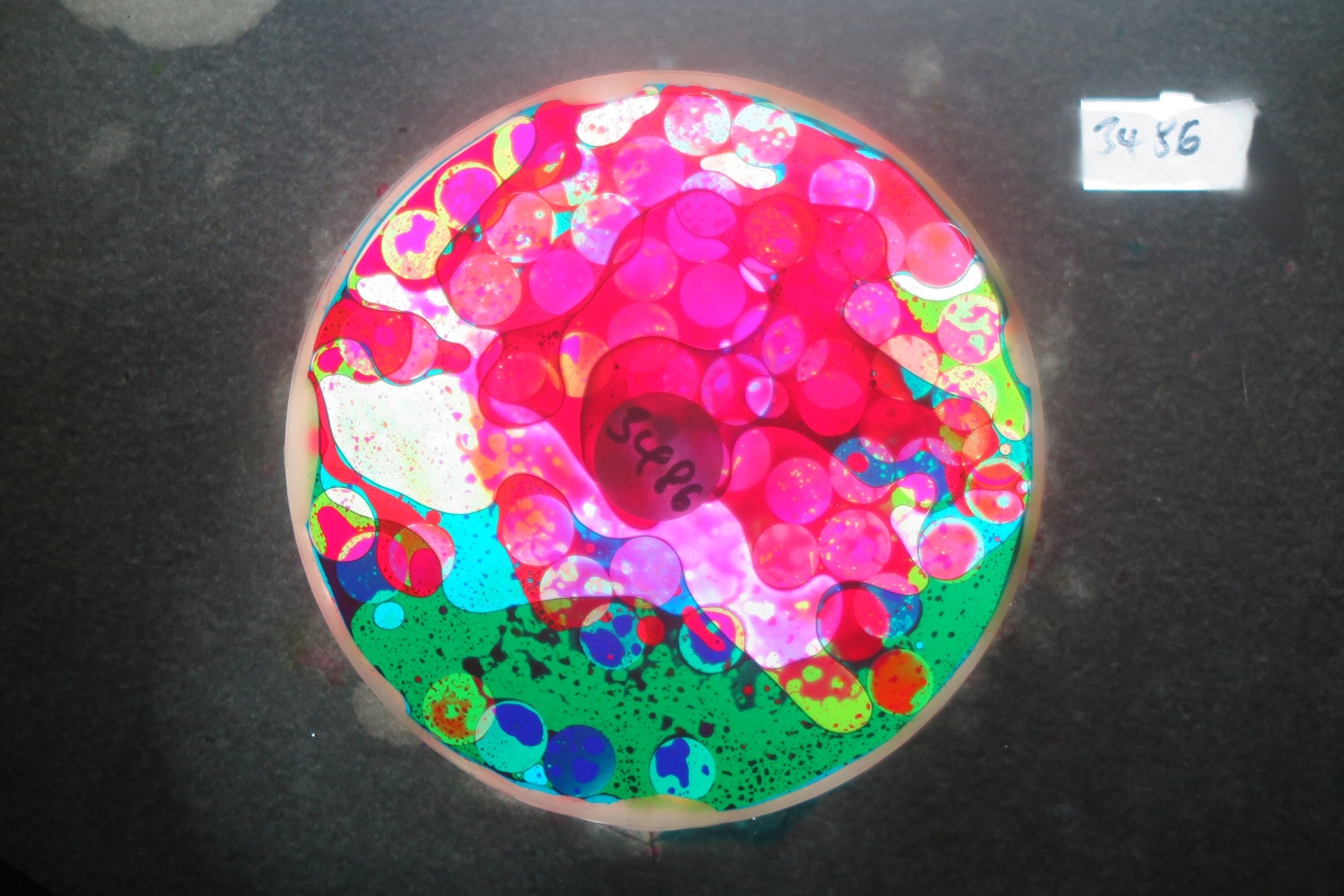 BV3486 bubble vision oil wheel